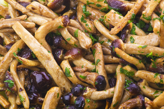 Pioppini Agrocybe Aegerita