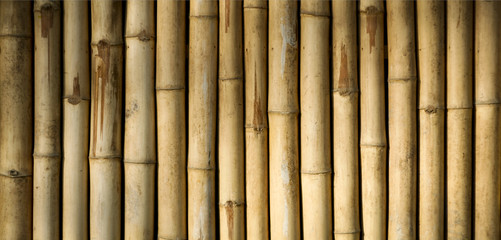 native style bamboo background