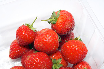 Corner of Strawberry Punnet