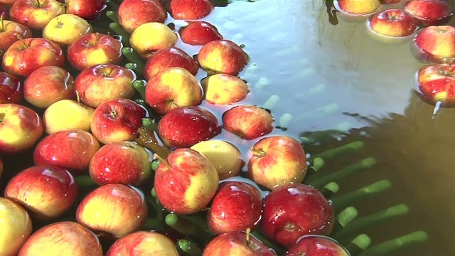 &Auml;pfel im Wasserbad
