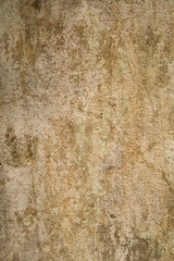 Fototapeta premium Aged and cracked plaster wall