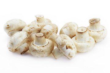 Грибы на белом фоне