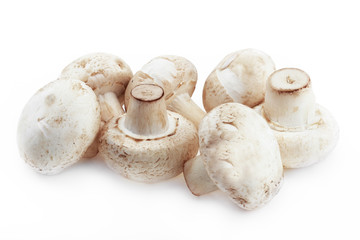 Грибы на белом фоне