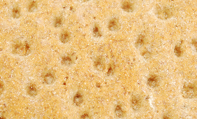 Dray bread texture