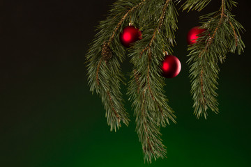 Fototapeta na wymiar Christmas decoration and real christmas tree
