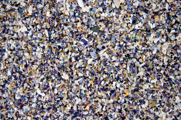 sea shells