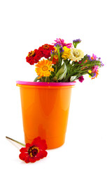 Colorful flower bouquet in bucket