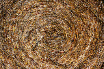 Brief moments in life