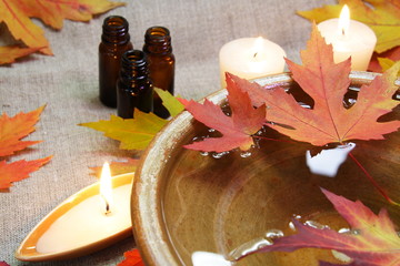 Autumn Leaves Aroma Bowl