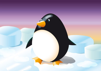 pinguino ovale sulla banchisa