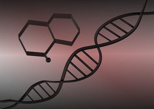 DNA e adenina
