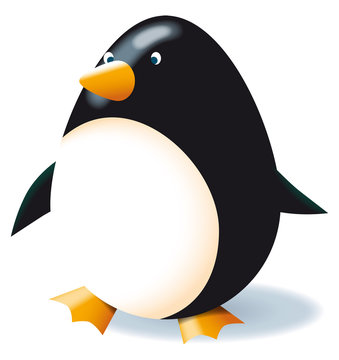 pinguino ovale