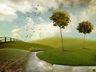 Autumn landscape