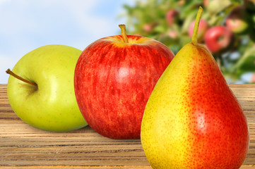 Obst 174