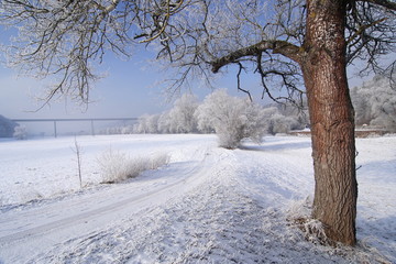winter landscape