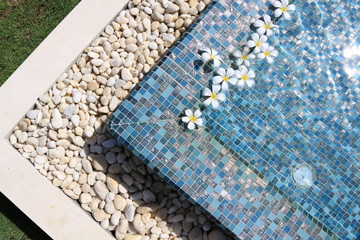 flowers floating in swimming pool