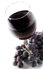 red wine
