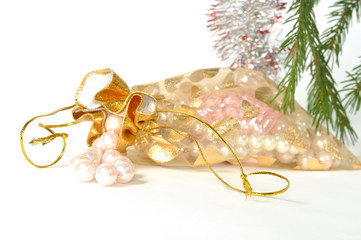 Fototapeta premium Christmas Present