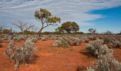 Gordijnen the australian landscape, south australia © Enrico Della Pietra