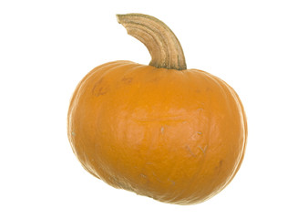 Pumpkin Isolated