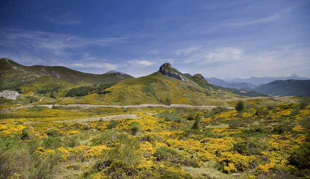Picos de Europa (Leon)