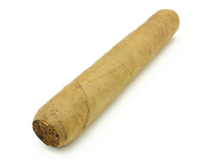 Cuban cigar