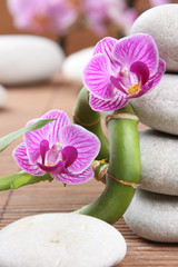 2 orchidées