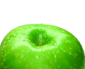 Vivid green autumn harvest