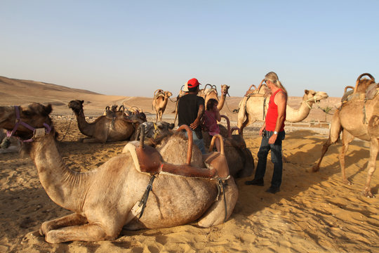 people traveling on camels
