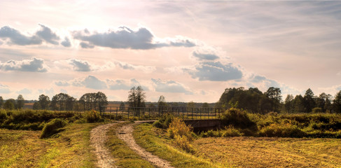 Obraz premium field