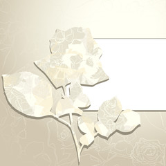 background with rose