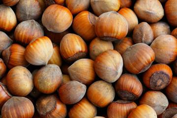 Hazelnuts