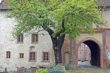 Schloss Altenhausen (Magdeburger Börde)