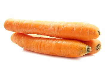 Fresh big carrots