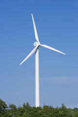 Windrad