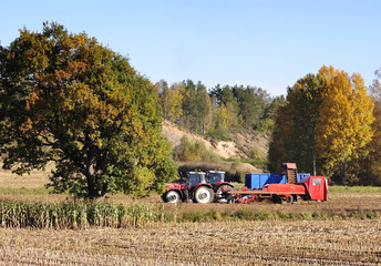 Autumn's field work