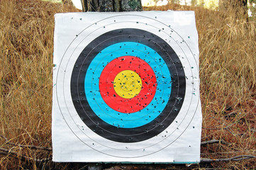 Shooting target in the woods. Sports background.