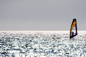 windsurfer