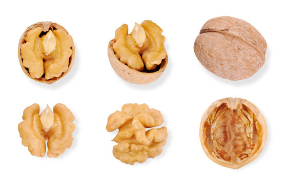 set of walnuts on white background