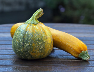Squash and Zucchini