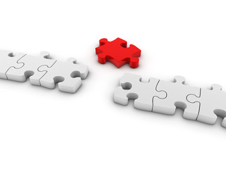 individuality puzzle