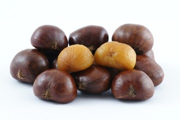 Japanese Chestnut