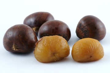 Japanese Chestnut