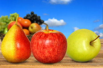 Obst 207