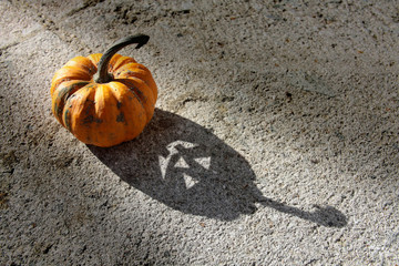 L'Ombre d'Halloween - Faisceau lumière