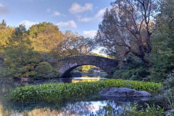Central Park in early autumn