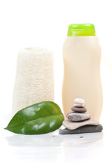loofah, green leaf, shampoo and stones