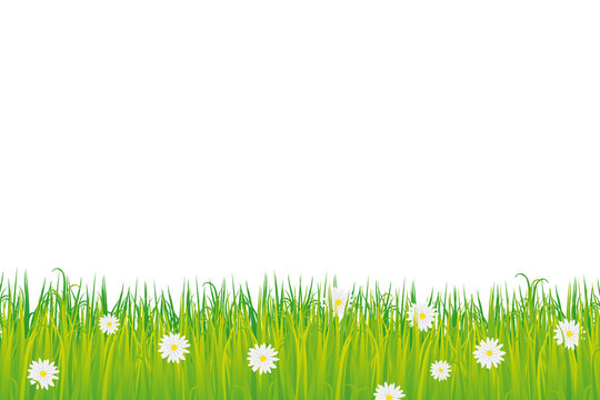 Herbe fleurie vectorielle