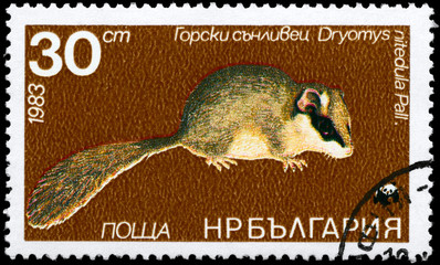 BULGARIA - CIRCA 1983 Forest Dormouse