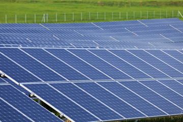Solarzellen auf der Wiese